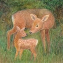 Vorschaubild Im Wald Leporello-Buch ab 6 Monaten