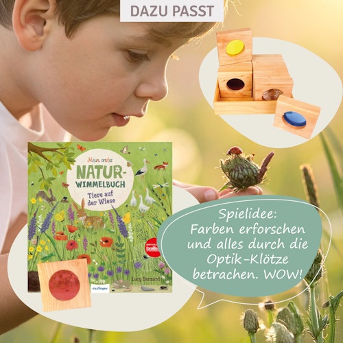 Optikklötze 12 Teile im Holzrahmen