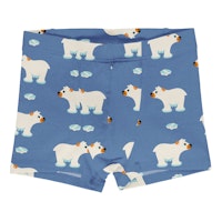 ICEBEAR Varianten Bild