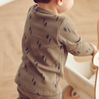 BRAUN Varianten Bild