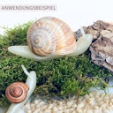 Vorschaubild Knete aus Bienenwachs glutenfrei 12 Farben