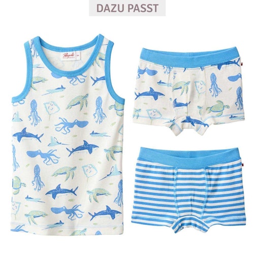 Boxershorts Doppelpack Arktis