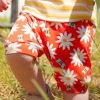 DAISY Varianten Bild
