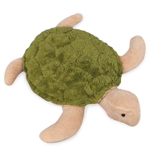 Kleine Schildkröte mit Traubenkernfüllung grün