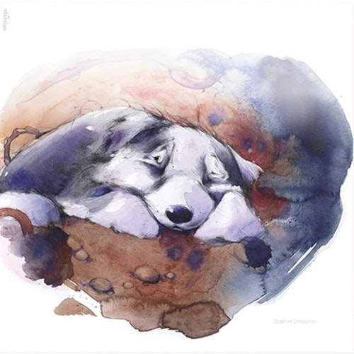 4 StoryLux Silhouetten: Hrókur und die Himmelsreiter