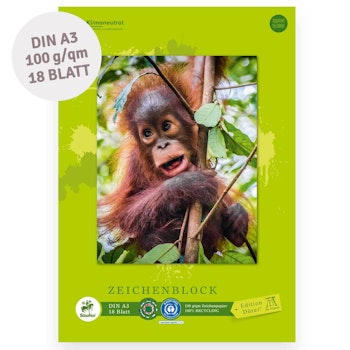 Staufen Green Zeichenblock Edition Dürer – DIN A3, 18 Blatt
