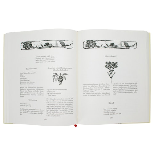 Das Jahreszeitenbuch - Geschichten, Rezepte, Spiele ab 3 Jahren