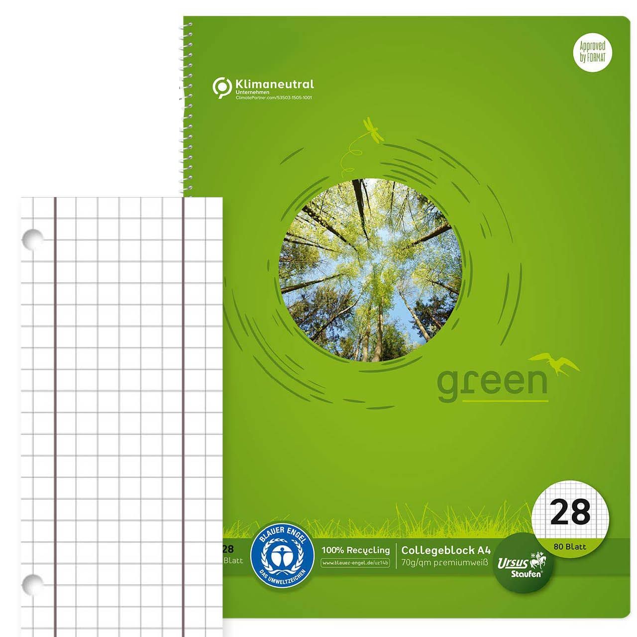 Collegeblock kariert mit Rand – Lineatur 28, DIN A4