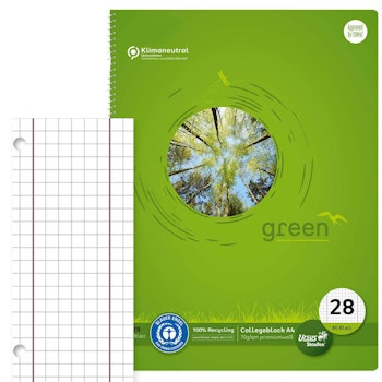 Collegeblock kariert mit Rand – Lineatur 28, DIN A4