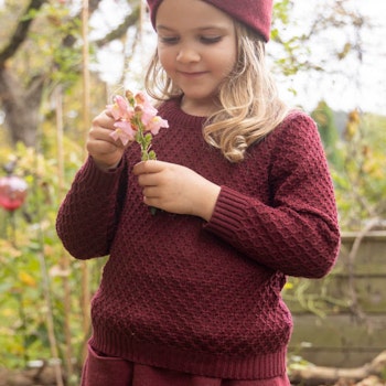 Pullover Zick-Zack Strickmuster cassis
