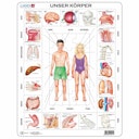 Vorschaubild Lernpuzzle Anatomie für Kinder ab 6 Jahre