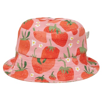 Sonnenhut Erdbeeeren rosa