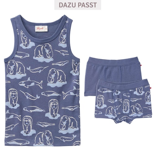 Boxershorts Doppelpack Arktis