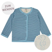 AIR Varianten Bild