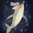 Vorschaubild Silhouette Tijana Draws - Wal