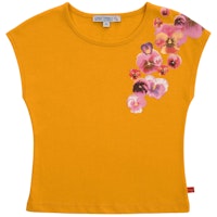 SUNBLUME Varianten Bild
