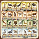 Vorschaubild Woodwalkers The Game Brettspiel ab 8 Jahren