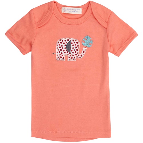 Babyshirt kurzarm Wüsten-Motive