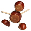Vorschaubild Kastanien Pilz und Bohrer - Set