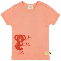 PEACH Varianten Bild