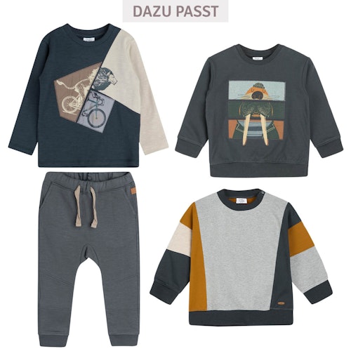 Leichtes Langarmshirt Löwe