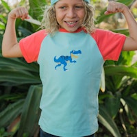 DINO Varianten Bild