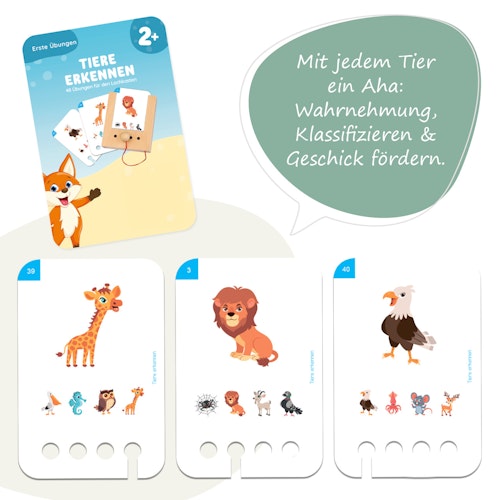 Erste Übungen - Tiere erkennen Kartensatz