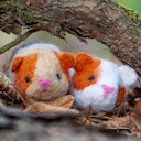 Vorschaubild Selber filzen mit Anleitung DIY Filz Set Meerschweinchen Level 2 ab 4 Jahre