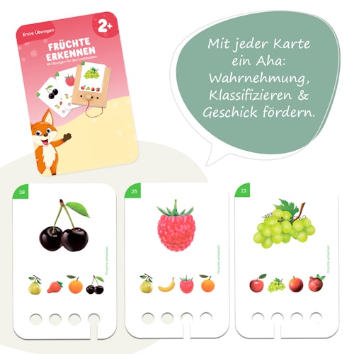 Erste Übungen - Früchte erkennen Kartensatz