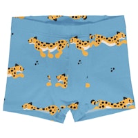 GEPARD Varianten Bild