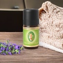 Vorschaubild Thymian Linalool bio 5ml – 100% ätherisches Öl