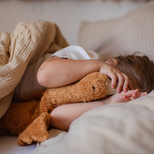 Gans klein Dinkelspreu Kuscheltier Wärmekissen rost