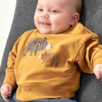 CURRYBEAR Varianten Bild