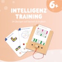 Vorschaubild Kartensatz Intelligenz Training ab 6 Jahren (ohne Lochkasten)