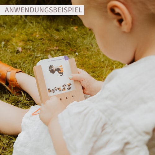 Meine Fahrzeuge Kartensatz ab 2 Jahre ohne Lochkasten