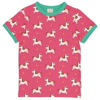 UNICORN Varianten Bild