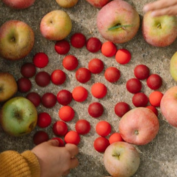 Mandala Halbkugeln 36 Stück