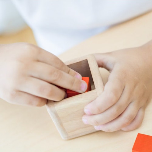 Plantoys Rechenwürfel Lernspiel