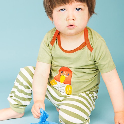Babyshirt kurzarm Wüsten-Motive