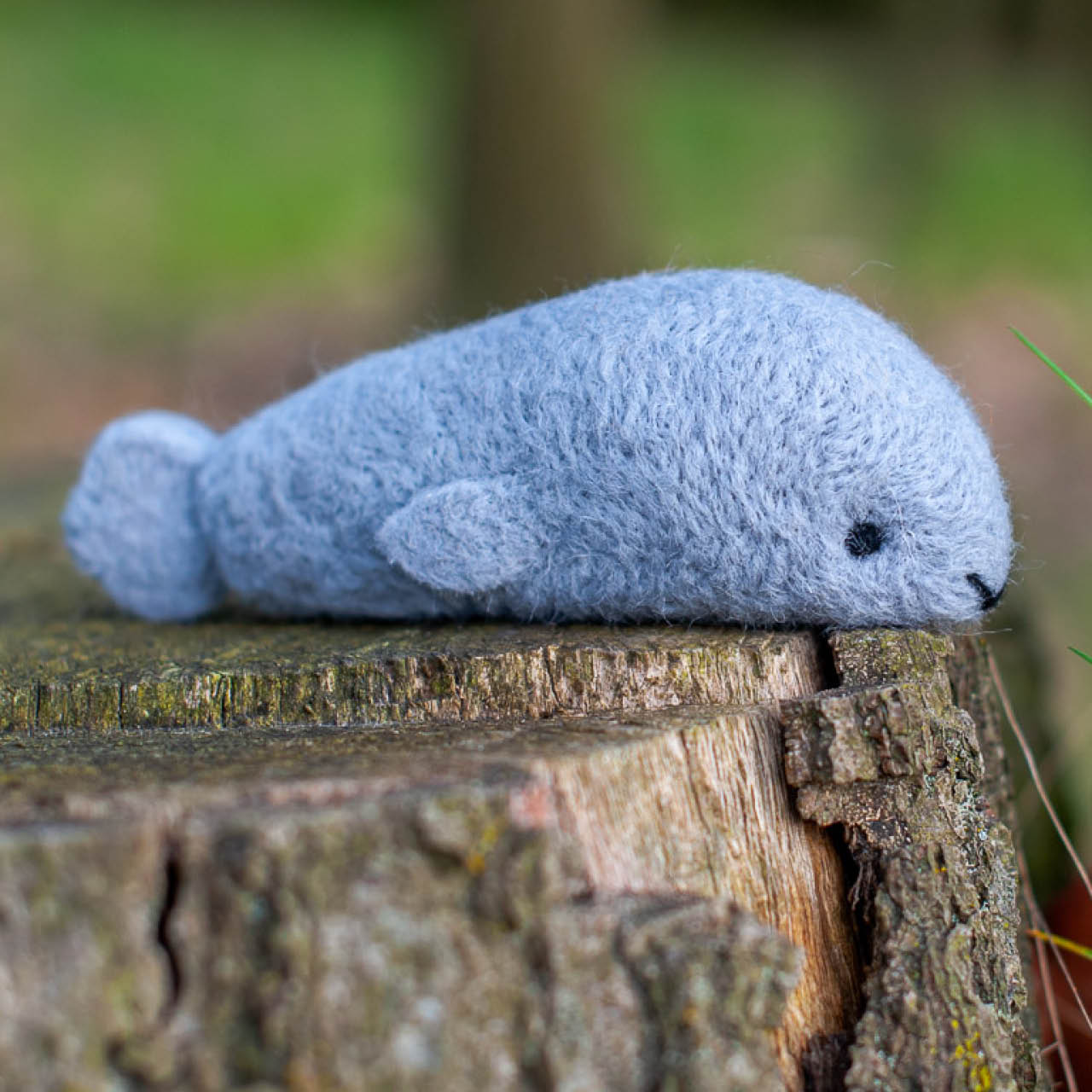 Selber filzen mit Anleitung DIY Filz Set Robbe Level 1 ab 4 Jahre