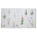 Vorschaubild Pepe und Sumselinchen Vorlesebuch ab 3 Jahren