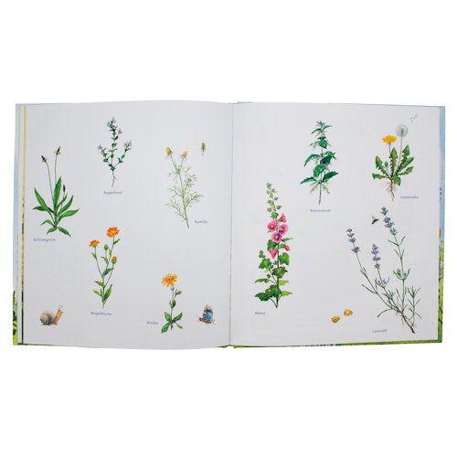 Pepe und Sumselinchen Vorlesebuch ab 3 Jahren