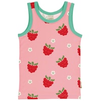 RASPBERRY Varianten Bild