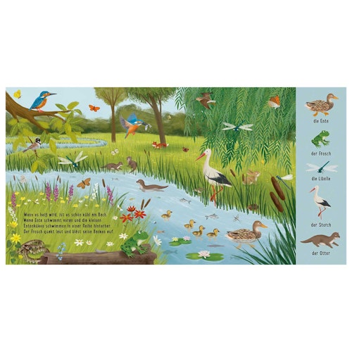 Tiere auf der Wiese – Natur-Wimmelbuch ab 2 Jahren