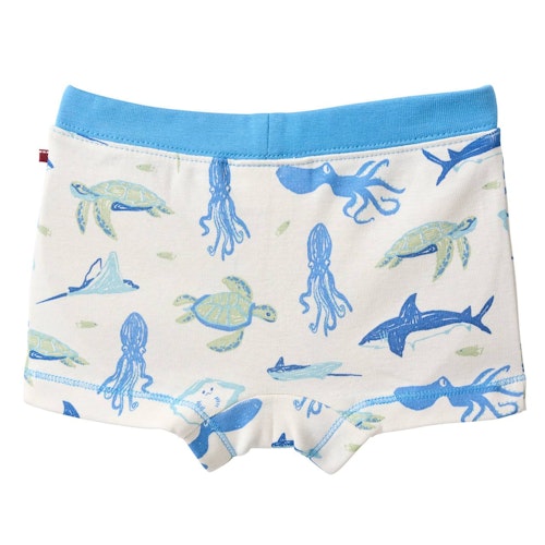 Boxershorts Doppelpack Arktis