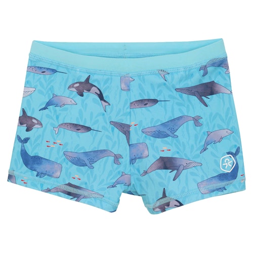 Kurze Badehose uni