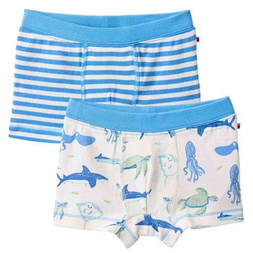 Boxershorts Doppelpack Arktis