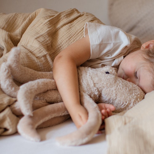 Kleines Kuscheltier & Wärmekissen Oktopus Kirschkerne 32 cm