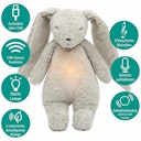 Vorschaubild Der Bio-Summhase mit Lampe grau