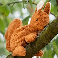 Kuscheltier Eichhörnchen klein mit Traubenkern Wärmekissen